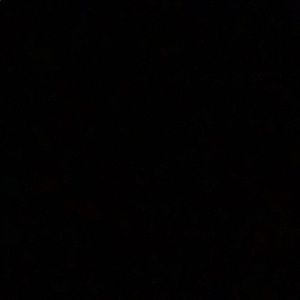 Meet your Posher, Avigail